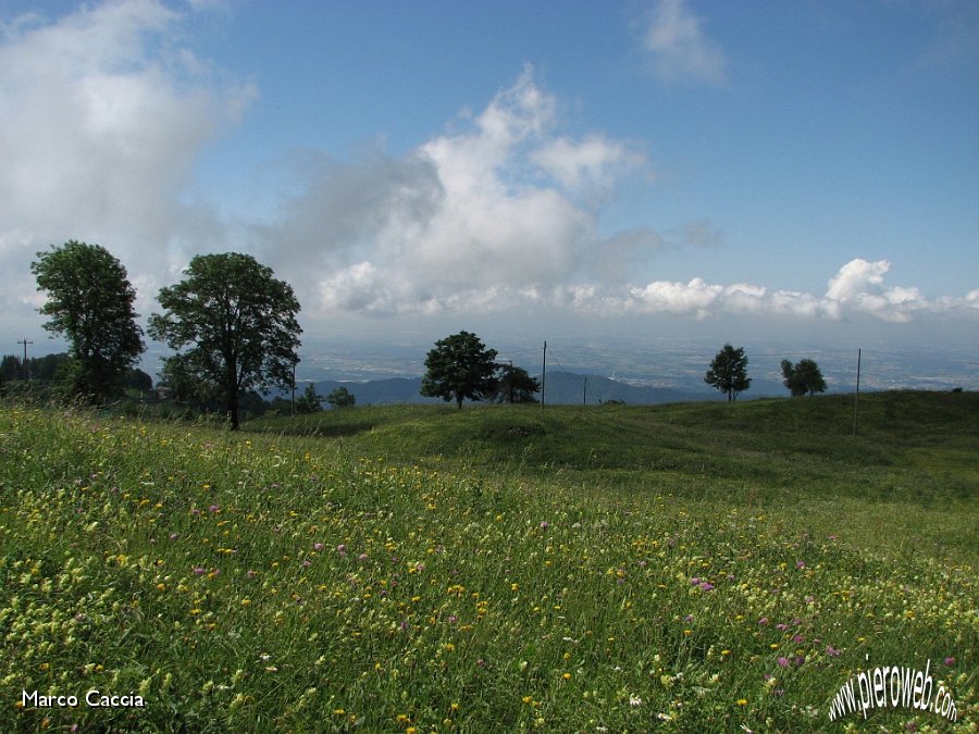 10_Fiori e nuvole.JPG